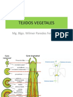 Tejidos Vegetales2014