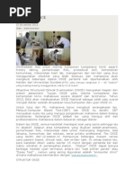 Download Pengertian OSCE by MichellaLupita SN240129218 doc pdf