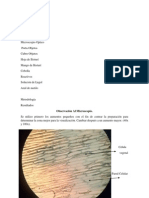 14 Practicacelulas Biomolecular