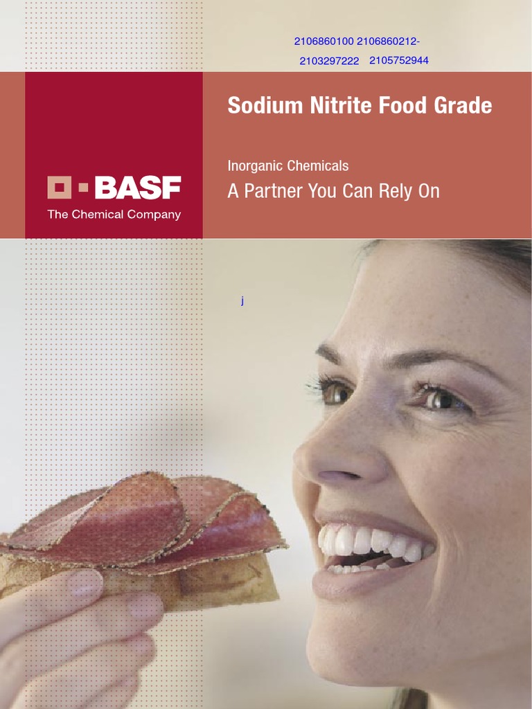 Sodium Nitrite BASF PDF Foods Food And Drink