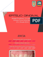 Epitelio Gingival