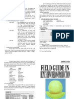Honeydew Melon Production 