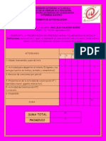 Formato-AutoevaluacionN