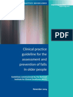 Falls Clinical Practice Guideline Nice
