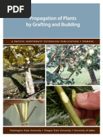 Download Grafting Manual by Fernando Arantes Barbosa SN240145867 doc pdf
