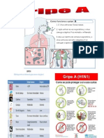 Gripe A