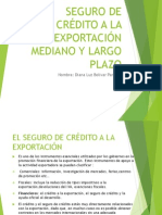 Seguro de Crédito A La Exportación - F