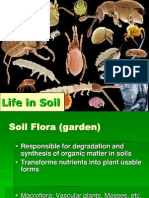 lifeinsoil