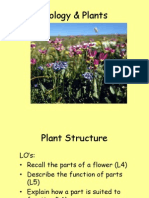 Structure of Plants