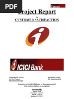 My Project Report On Icici Bank Final Institutional Investors