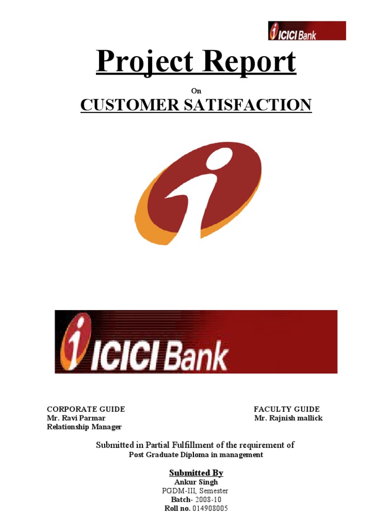 My Project Report On Icici Bank Final Institutional Investors