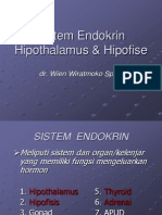 Hipofise & Hipothalamus