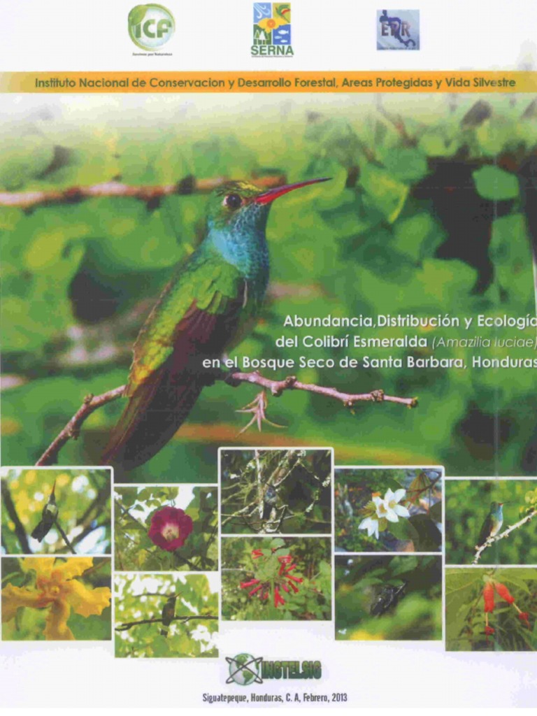 Colibri II Informe Final | PDF | Análisis de regresión | Regresión lineal