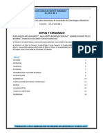 Sepsis y Embarazo Guia FLASOG 2013 PDF
