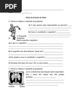 4º Ano-corpo Humano Ossos Musculos