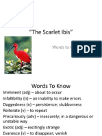 Scarlet Ibis WTK