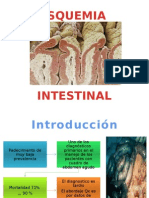 Isquemia Intestinal