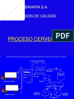 Proceso C Erve Cero