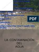 Contaminacion Del Agua