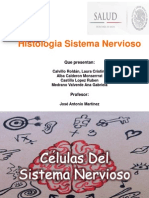 Histologia Del Sistema Nervioso