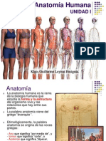 UNIDAD 1 - Clase 1 -Generalidades de Anatomía