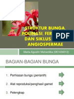 Struktur Bunga Polinasi Fertilisasi Siklus Hidup Angispermae