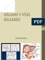 Hígado y Vías Biliares