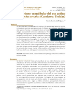 Stucchi y Figueroa 2013 - Morfología cráneo-mandibular del oso andino.pdf