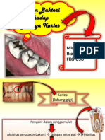 Peranan Bakteri Terhadap Karies