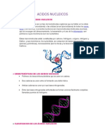 ACIDOS NUCLEICOS