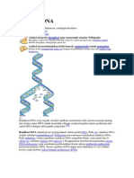 Replikasidnatranskripsirnatranslasiprotein 130306093422 Phpapp02
