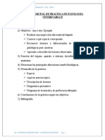 Informe Practica