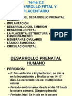 Tema 2.2 Desarrollo Fetal y Placentario