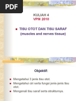 Download sistem otot by wongyk1512888 SN24025827 doc pdf