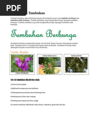 Pengelasan Tumbuhan Pdf