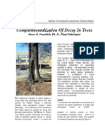 Compartmentalization of Decay in Trees