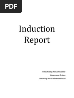 Induction Report