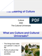 The Meaning of Culture Powerpoint