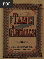 Download Tame Animals by The Neverending Story SN240275 doc pdf