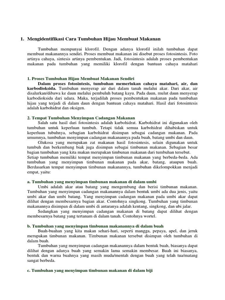 Cara Tumbuhan Hijau Membuat Makanan Pdf