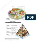 Diferentes Grupos de Alimentos