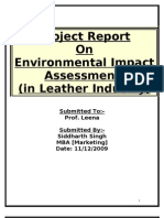 Environmental Impact Assessment - Report