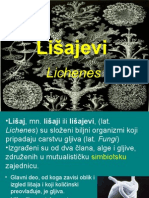 Lišajevi - Prezentacija