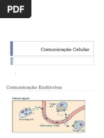 Comunicação Celular FG