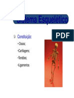 Anatomia c Sist. Esqueletico-Consideracoes Iniciais