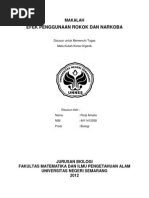 Download Makalah Efek Rokok Dan Narkoba by rizqimalmal SN240347025 doc pdf