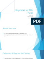 Development of DSJ Field
