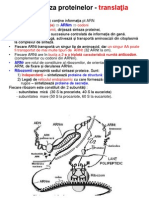 Sinteza Proteinelor