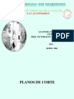 Planos de Corte Abdomen, Riñon, Prostata 2012