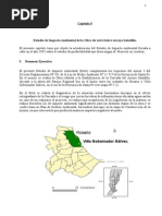 Estudio de Impacto Ambiental de La Obra de Arte Sobre Arroyo Saladillo